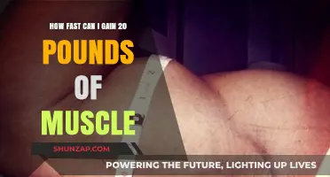 Rapid Muscle Gain: Strategies to Add 20 Pounds of Muscle Fast