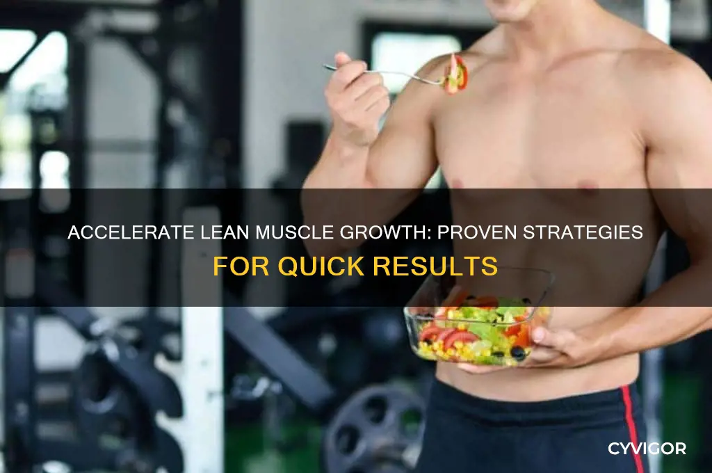 how fast can i gain lean muscle mass