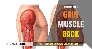 Rapid Muscle Regain: Strategies to Rebuild Lost Muscle Mass Quickly