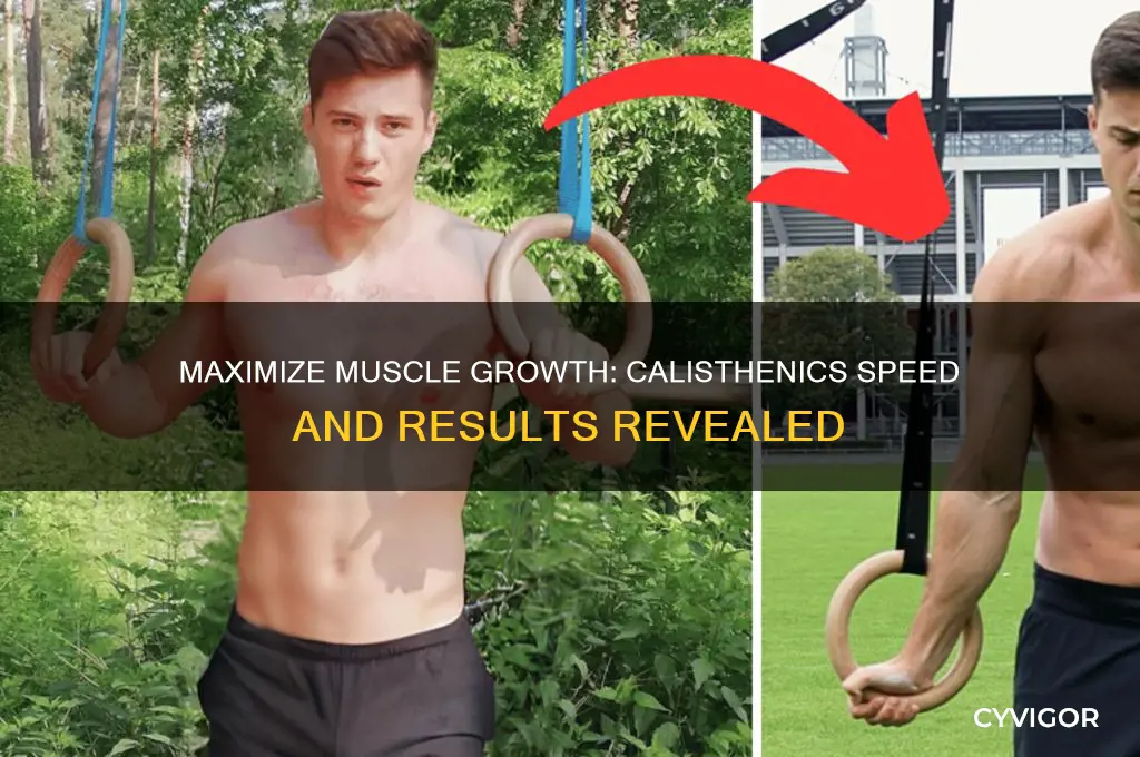how fast can i gain muscle with calisthenics