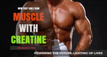 Accelerate Muscle Growth: Creatine's Role in Rapid Strength Gains