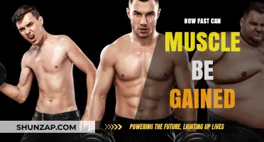 Maximize Muscle Growth: Unlocking the Fastest Gains Safely and Effectively