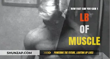 Muscle Growth Speed: How Quickly Can You Gain 1 Pound?