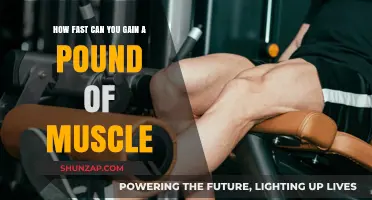 Muscle Growth Speed: How Quickly Can You Gain a Pound?