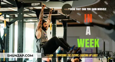 Rapid Muscle Growth: Weekly Gains and Realistic Expectations Explained