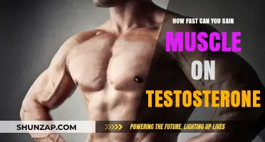Muscle Growth on Testosterone: Accelerating Your Gains Safely and Effectively