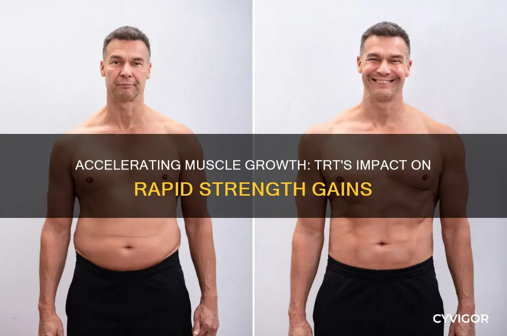 how fast can you gain muscle on trt