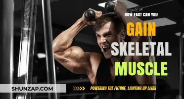 Maximizing Muscle Growth: How Quickly Can You Build Skeletal Muscle?
