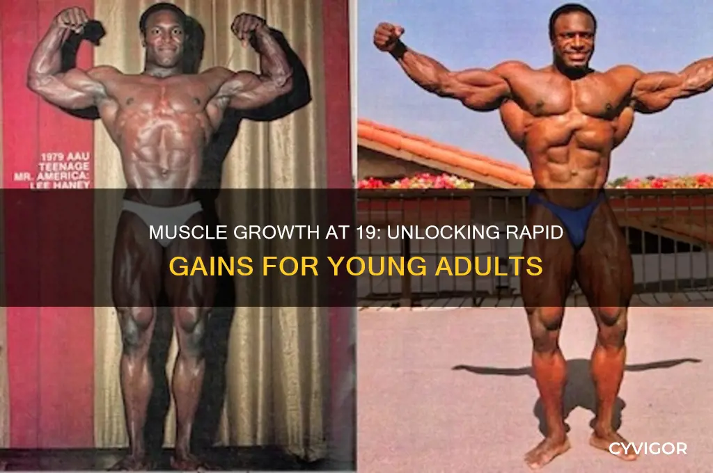 how fast do 19 year olds gain muscle