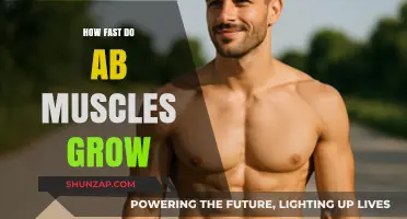 How Quickly Can You Build Visible Ab Muscles?