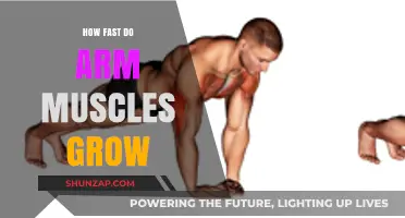 Accelerating Arm Muscle Growth: Effective Strategies for Quick Results
