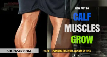 Unlocking the Potential: A Guide to Rapid Calf Muscle Growth