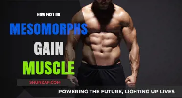 Mesomorph Muscle Gain: Unlocking Rapid Growth and Strength Potential