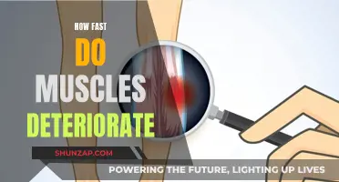Muscle Deterioration: How Quickly Does It Happen and Why?