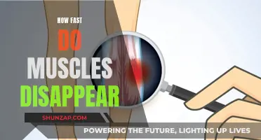 Muscle Loss: How Quickly Can You Lose Muscle Mass?