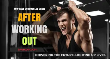 Muscle Growth Speed: Post-Workout Factors and Results Explained
