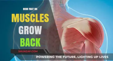Rebuilding Strength: The Science Behind Muscle Recovery and Growth