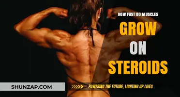 Steroids and Muscle Growth: Uncovering the Rapid Transformation Process
