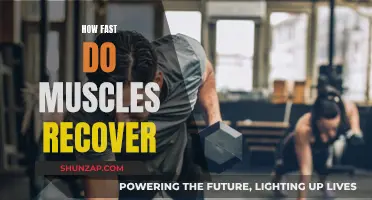 Muscle Recovery: Understanding the Timeline for Fitness Enthusiasts