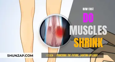 Muscle Atrophy: Rapid Loss and Prevention