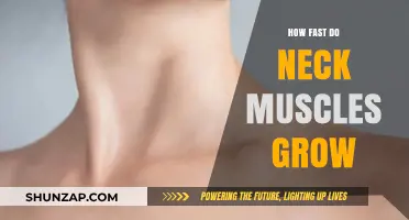 How Fast Do Neck Muscles Grow: Training Tips and Growth Timeline