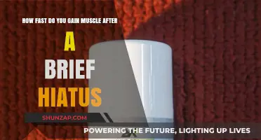 Rapid Muscle Regrowth: Rebounding After a Brief Training Hiatus