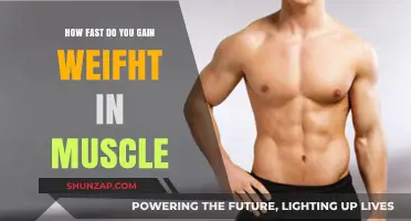 Muscle Gain Speed: How Quickly Can You Build Strength?