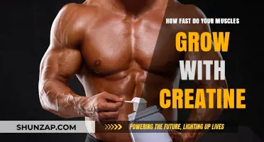 Creatine's Impact: Accelerating Muscle Growth and Strength Gains