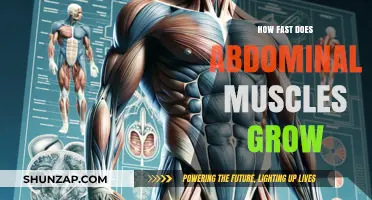 How Quickly Can You Build Visible Abdominal Muscles?