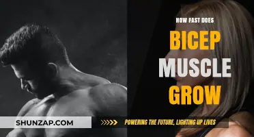 How Fast Do Biceps Grow? Factors Affecting Muscle Growth Rate