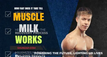 How Quickly Does Muscle Milk Deliver Results? A Detailed Breakdown