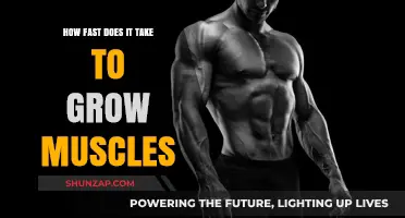 Muscle Growth Timeline: How Fast Can You Build Strength?