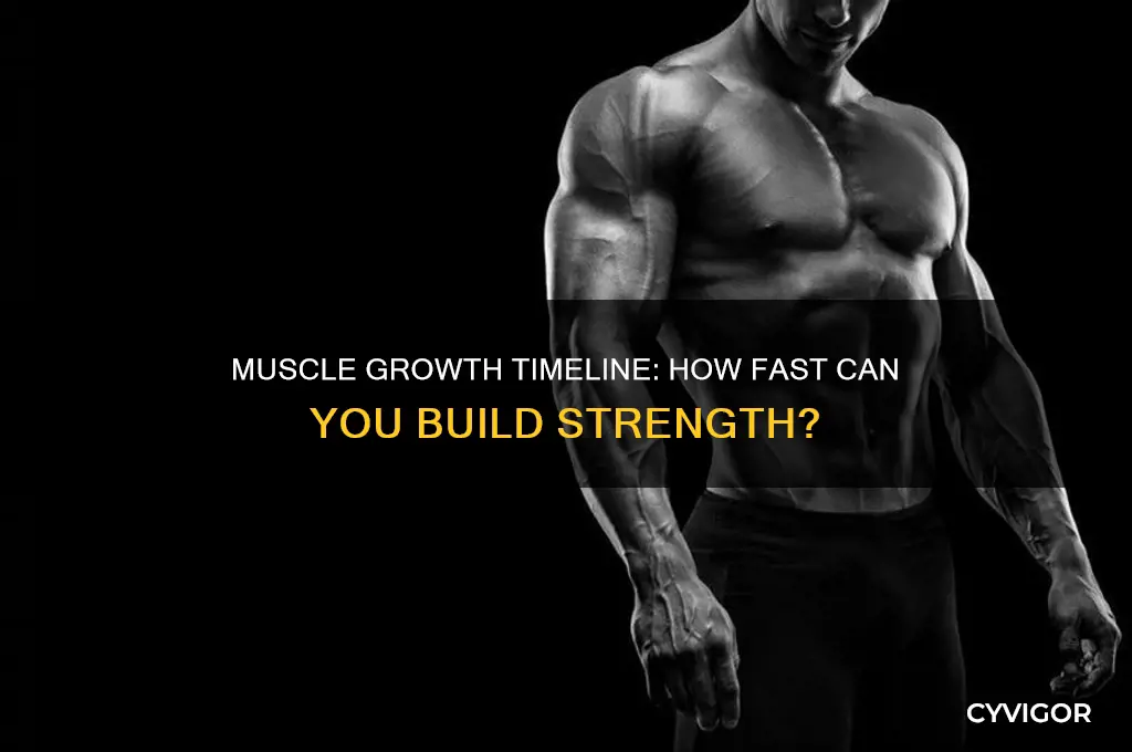 how fast does it take to grow muscles