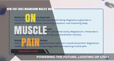 Magnesium Malate's Rapid Relief: Easing Muscle Pain Effectively and Quickly