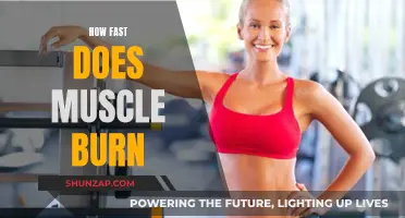 Muscle Burning: How Fast Can You Lose It?