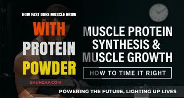 Protein Powder Power: Accelerating Muscle Growth and Recovery