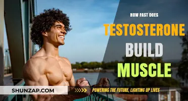 Unleashing Strength: The Speed of Testosterone's Muscle-Building Power