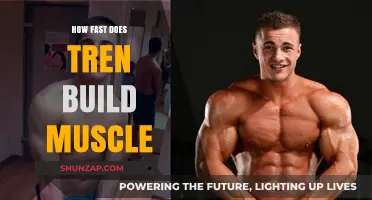 Trenbolone's Rapid Muscle Growth: A Comprehensive Guide