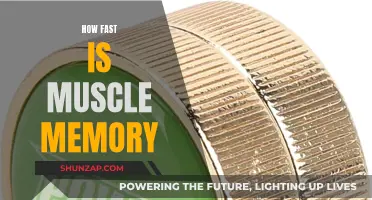 Building Muscle Memory: Rapid Strength and Skill Gains