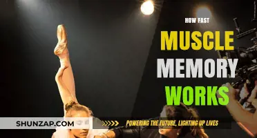 Unlocking Muscle Memory: How Quickly Does It Really Work?