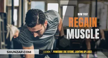 Regain Muscle Quickly: Effective Strategies for Rapid Results