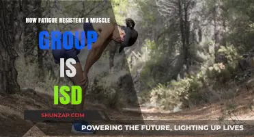 Understanding Muscle Fatigue Resistance: Factors and Training Strategies