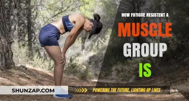 Understanding Muscle Fatigue Resistance: Factors and Training Strategies