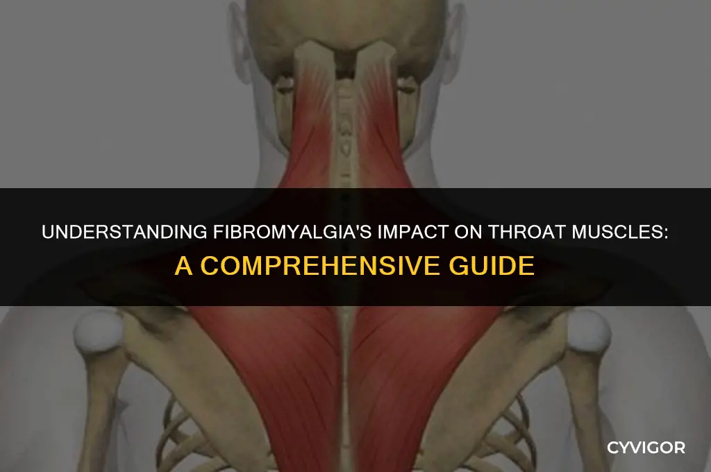 how fibro affects the throat muscle