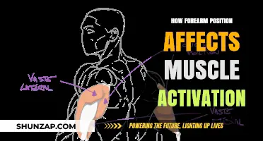 Optimizing Muscle Activation: The Impact of Forearm Position