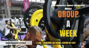 Optimal Muscle Group Frequency: Weekly Training Tips for Maximum Gains