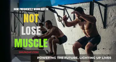 Optimal Workout Frequency to Maintain Muscle Mass and Strength