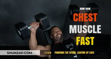 Effective Chest Muscle Building: Fast Track to a Stronger Upper Body