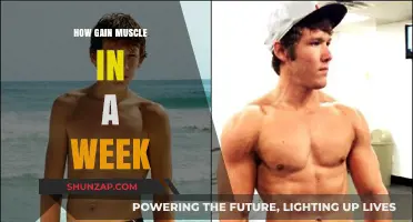 Quick Muscle Gains: Effective Strategies for Weekly Strength Building