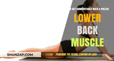 Ease Pulled Lower Back Muscle Discomfort: Tips for Quick Relief and Comfort